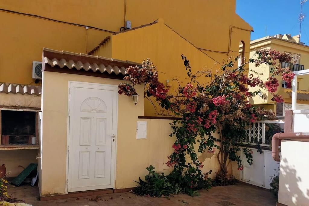 Mar Azul Adosado, Patio Y Solarium Apartment Torrevieja Exterior foto